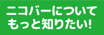 ニコバーをもっと知りたい！